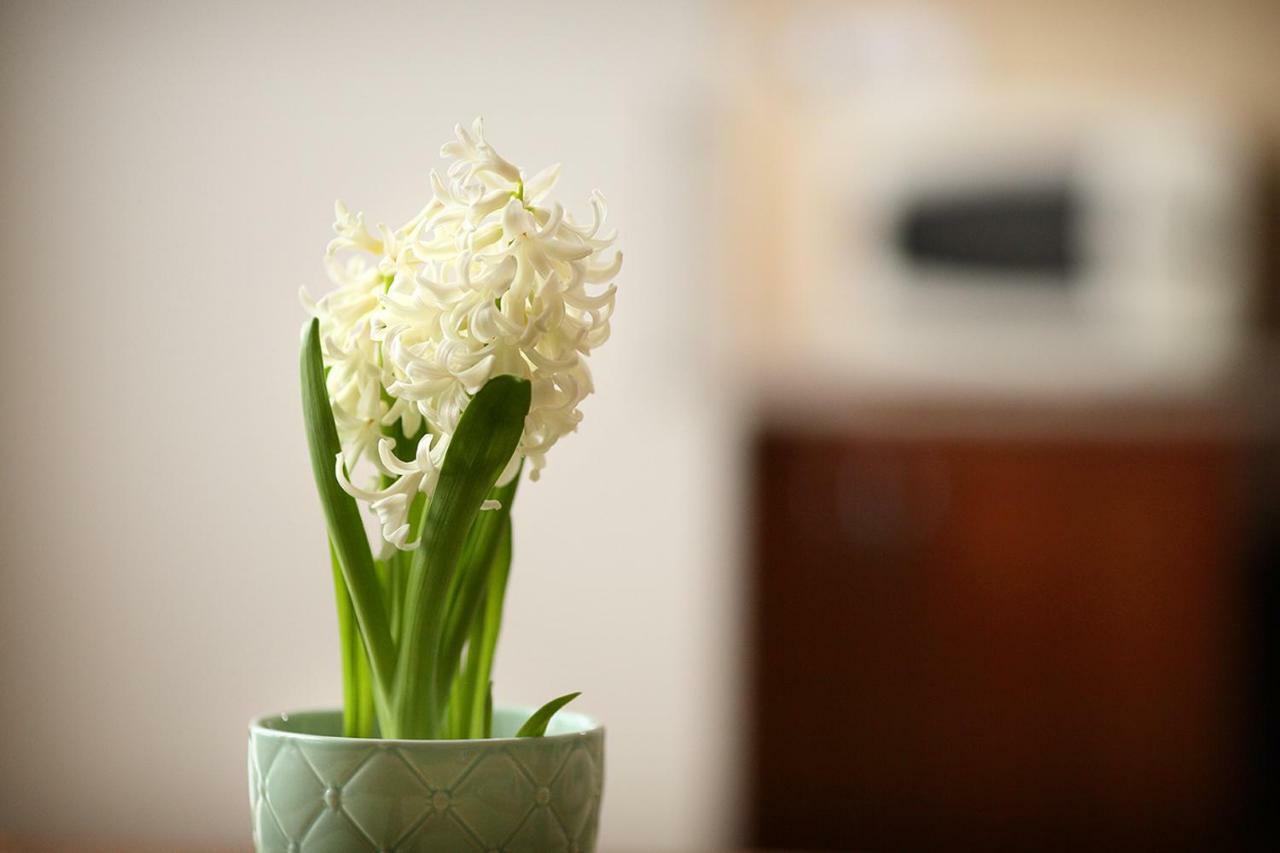Ecomfort Apartment แก็ชแกเมต ภายนอก รูปภาพ